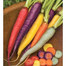 Carrot Rainbow Mix