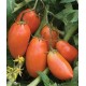 San Marzano Tomato